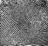 Fingerprint - Investigation
